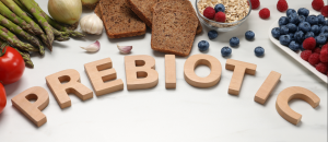 prebiotic foods for immunity
