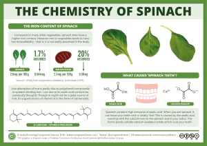 iron absorption from spinach compared to red meat